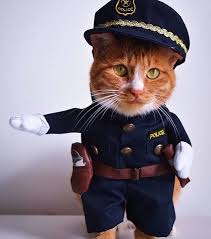 Cat Police Costume The Paws