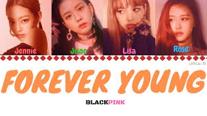 Blackpink Forever Young Lyrics Color Coded Eng Rom Han Forever Young Lyrics Lyrics Color Coded Lyrics Looking for the best blackpink wallpapers? blackpink forever young lyrics