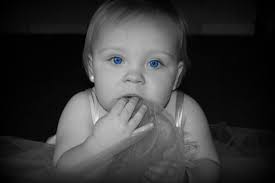 Photography By Amy Ridenour-Wilson