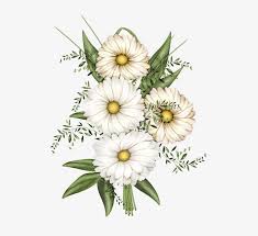 Add your own designs, patterns, text, and pictures! Decoupage Vintage Flower Clipart Flower Photos Flower Clipart Flowers Transparent Png 500x669 Free Download On Nicepng