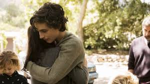 The screenplay, written by luke davies and van groeningen. Beautiful Boy Movie Review Film Summary 2018 Roger Ebert
