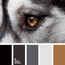 cvetovaya palitra 1758 seraya cvetovaya palitra cvetovye shemy dlya spalen cvetovye palitry