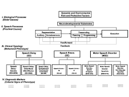 The Speech Disorders Classification System Sdcs Adapted