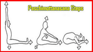 The Divine Power Within You Best Yoga For Celibates Paschimottanasana