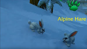Alibaba.com offers 1,184 pet charm collar products. Pet Collectors Get Ready For A Confusing New Pet Charm System In Battle For Azeroth