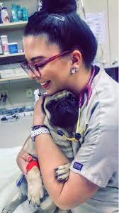 Hi Hayden! My name is Chelsea and I am a veterinary technician which is an  animal nurse. My job is to help take care of both sick and healthy dogs and  cats