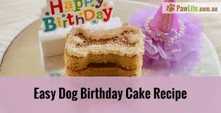 Cake recipes for dogs can be greatly enhanced by frosting by adding aesthetic appeal and flavor as well. Easy Dog Birthday Cake Recipe Paw Life