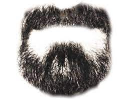 Download Png Image Beard Png Image Beard Beard Pictures Beard Images