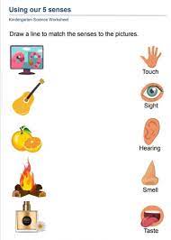 The worksheets cover the five senses, life cycles, parts of a flower, animals and their babies, basic needs of living things, the difference between living and nonliving. Kindergarten Science Worksheets Activity For Kids Facebook