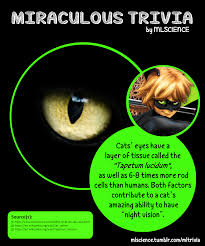 For many people, math is probably their least favorite subject in school. Miraculous Ladybug Stem Stat And Info Mlscience Is Happy To Announce Miraculous