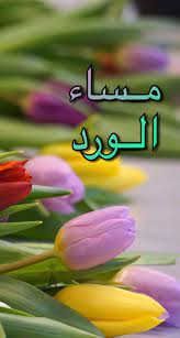 pin on مساء الورد