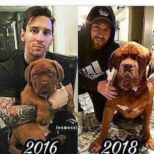 We did not find results for: Pin Auf Leo Messi