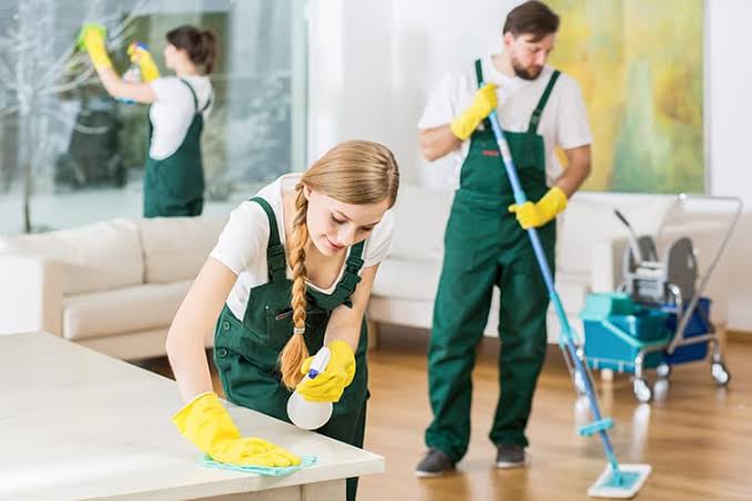 Professional Cleaning