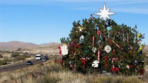Maybe you would like to learn more about one of these? I 17 From Phoenix To Flagstaff Large Christmas Tree In The Middle Of The Desert This Belongs In A Museum