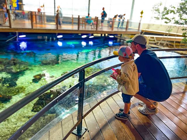 Un aquarium géant - Nausicaá - Jolie Côte