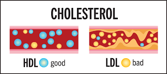 Understand cholesterol and how to lower it | Wellmark Blue