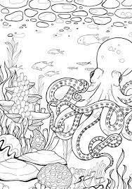 You can save your interactive online coloring pages that you have created in your gallery, print the coloring pages to your printer, or email them to friends and family. A Sucker 4 You Photographic Print By Kattdjur In 2021 Ocean Coloring Pages Animal Coloring Pages Cartoon Coloring Pages