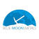 Blue Moon Metals Inc. logo
