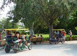 Cool tropical zoo that's on the western edge of miami metro area. It S Zoo Miami Not The Miami Zoo Up Down Travel