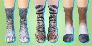 1 pair of plush coral fleece socks female tube socks autumn and winter #cat claws cute thick warm sleeping floor sleep #socks. What On Earth Animal Paw Socks Are Hilarious