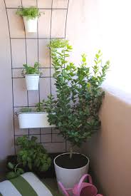 Mason jars on wooden plank. Ikea Hack Balcony Herb Garden Hello Lady