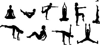 Yes, i did warrior 1, 2, and 3 along with chair pose, and some other crazy stuff. Bespoke Yoga For Celebrities The Moral High Horse Asana And Nine Other Customised Poses