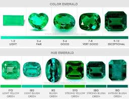 Hochwertige outdoor bekleidung für dein outdoor abenteuer! Emerald Color