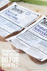 Whatever the reason, dog owners like you want totally balanced raw dog food recipes. 300 Raw Dog Food Ideas In 2021 Raw Dog Food Recipes Dog Food Recipes Natural Pet
