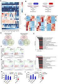 For windows try setting the extension_dir set to a complete path if you have an error. Lineage Restricted Sympathoadrenal Progenitors Confer Neuroblastoma Origin And Its Tumorigenicity Oncotarget