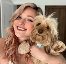 Silky Wirehaired Dachshund Photos and Information