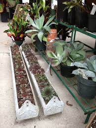 We did not find results for: Pin By Helmi Martin Sheely On Garden Center Pics Plants Succulents Planter Ideas Succulent Planter Diy