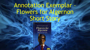 Flowers for algernon opens with progress report 1 or, as it is spelled in the text, progris riport 1. the progress reports serve as chapters in the novel, and they are written by charlie gordon, a developmentally disabled or mentally retarded man of 32 years. Annotation Exemplar Flowers For Algernon Short Story