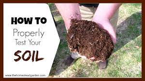 Soil testing is something most people don't think about when planting their gardens, but once every year or two, it's not a bad idea. How To Properly Test Your Soil