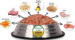 La piltrafa es la carne que resulta casi imposible de emplear como comida, ya que tiene poco más que el pellejo y una gran cantidad de nervios. Alimentos Para Perros Pitbull Cachorros 2021