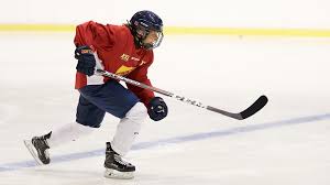 Djurgårdens if hockey (hockeyallsvenskan) team informations, location, map and distances. French Forward Betty Jouanny Is Loaded For Bear