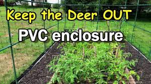 Building a raised bed that is at least 2' off the ground will keep most rabbits out. Pvc Fencing To Keep The Deer Out Of Our Raised Garden Bed Youtube