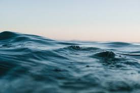 1000 Amazing Waves Photos Pexels Free Stock Photos Find a variety of sizes, patterns and colors. pexels free stock photos