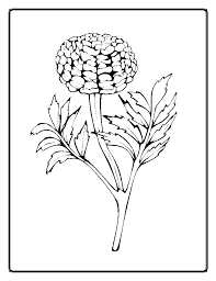 Hopefully you can make some time for you and relax while working on one of these flower adult. Flower Coloring Pages