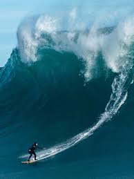 Get surfing news, watch live surfing events, view videos, athlete rankings and more from the world's best surfers on the world's best waves. ã‚µãƒ¼ãƒ•ã‚£ãƒ³ ãƒ'ã‚¿ã‚´ãƒ‹ã‚¢ Patagonia