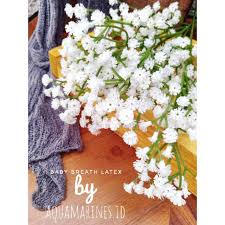 Baby breath adalah salah satu bunga yang sangat mudah tumbuh dari biji gypsophila, dan memberikan begitu banyak keindahan dan melengkapi bunga lainnya sehingga baik di taman bunga. Bunga Baby Breath Baby Breath Artificial Baby Breath Palsu Baby Breath Plastik Shopee Indonesia