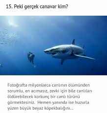 Aysenur Adli Kullanicinin Guzel Sozler Panosundaki Pin 2020 Gercekler Komik Seyler Huzunlu