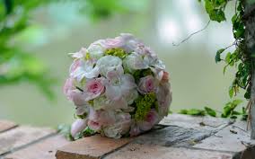 Even after a few of their flowers have died, sweet alyssum plants still look good: Besthqwallpapers Com Uploads 18 11 2017 29359