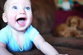 Jaime Vines Photography