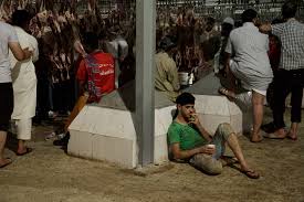 A villager told toi that the camel chewed the. Throwing Stones And Slaughtering Sheep At The Hajj The New York Times
