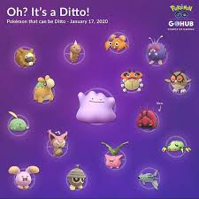 All Pokemon That Disguise As Ditto Credit Coupleofgaming In 2020 Pokemon All Pokemon Pokemon Go