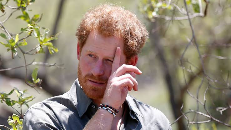 African wildlife charity with Prince Harry as board member investigating  rape and torture claims against eco-guards | World News | Sky News