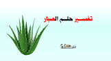 في الاحلام