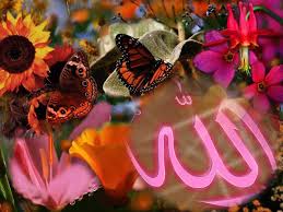 mafҳumi ibodat dar islom live wallpapers allah wallpaper