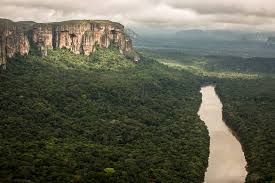 Cinco datos increíbles sobre Chiribiquete | WWF