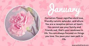 Pin On Floral Favorites